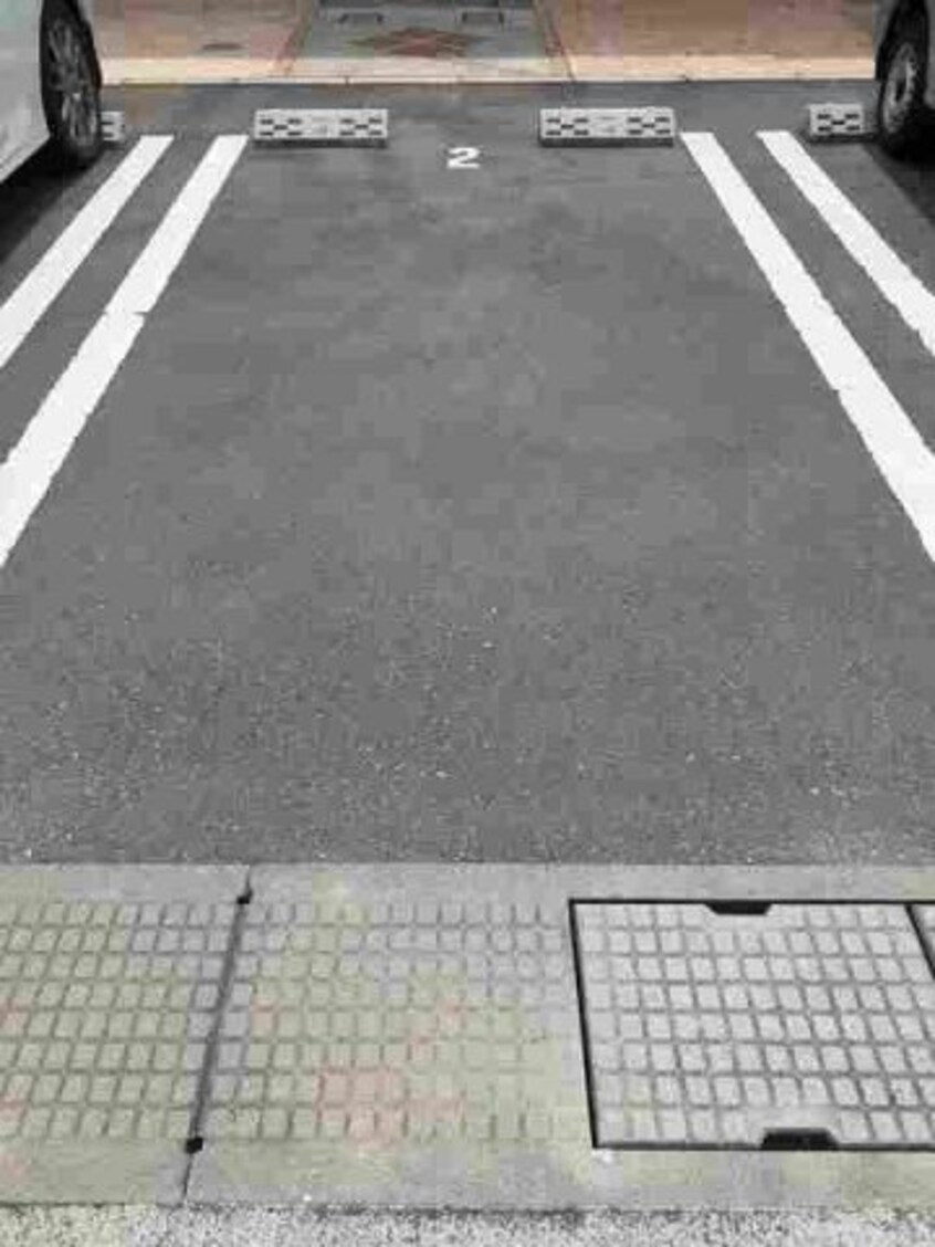  フィオーレ　リン　Ａ