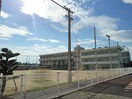 丸亀市立城南小学校まで1300m ルーベル柞原　Ⅱ