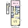 サンシャイン　桜川　Ｃ 1LDKの間取り