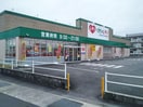 くすりのレデイ 高松出作店(ドラッグストア)まで862m ロイヤル城跡