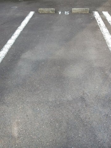  イリスセゾン　Ｃ