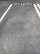  イリスセゾン　Ｃ