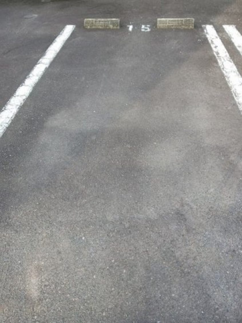  イリスセゾン　Ｃ