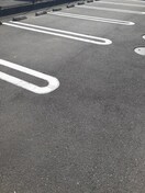  ＨＡＲＵＫＵ　８０　Ａ