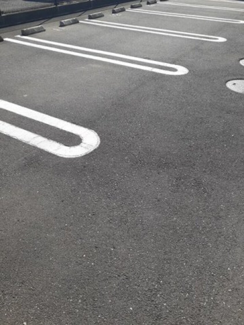  ＨＡＲＵＫＵ　８０　Ａ