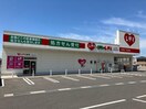 くすりのレデイ 仏生山店(ドラッグストア)まで649m サンロード仏生山　A棟