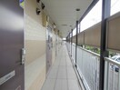 ２Ｆ共用廊下 レオパレスステラ三條