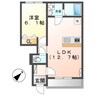 アヴィオン 1LDKの間取り