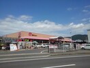 西村ジョイ観音寺店まで1900m サニー・パラッツオ　Ａ
