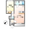 アヴィオン 1LDKの間取り
