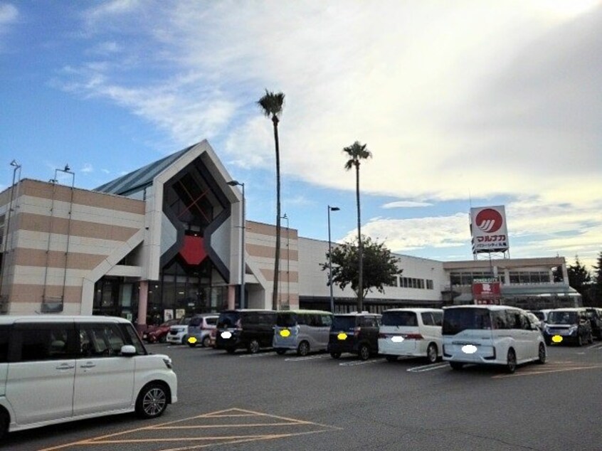 マルナカパワーシティ丸亀店まで1500m 紫陽花　Ｂ