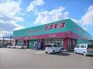 コスモス国分店さんまで1100m カーサ　リアン