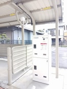  ＳＥＲＡＶＥＥ　林