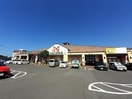 ハローズ円座店さんまで1800m ウエストヴィレッジⅡ