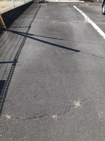  オーブリー栗熊