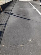  オーブリー栗熊