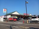 マルヨシセンター国分寺店さんまで1380m フォレストパークＢ