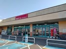 ザ・ダイソー DAISO フジ志度店まで543m ヴィラナリー志度　Ⅲ棟