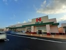 ハローズ多肥店さんまで1200m トラッド木田谷Ⅰ