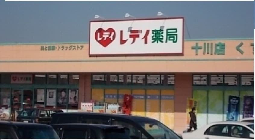 レディ薬局十川店さんまで800m メゾン・ド・ジュネスＫ　３