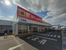 ダイレックス川島店さんまで550m メゾン・ド・ジュネスＫ　３