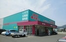 コスモス西ハゼ店さんまで1600m カーサ・レガーロ