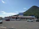 ＤＣＭダイキ飯山店まで1900m ラ・フォート・タケＢ