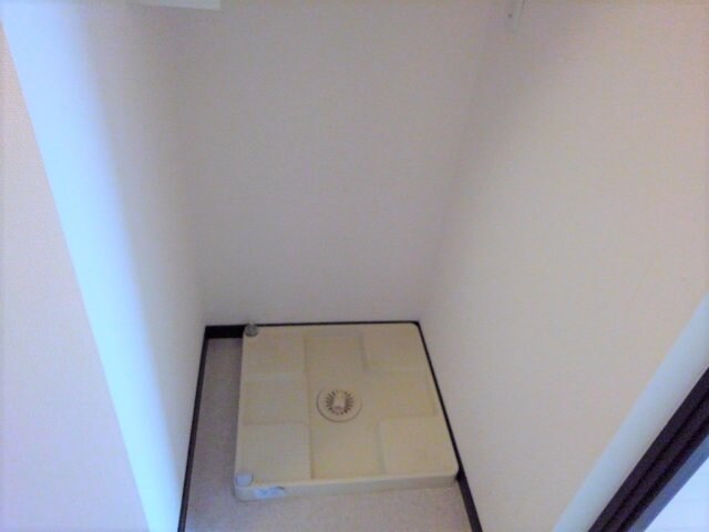  レオネクストウィンクル