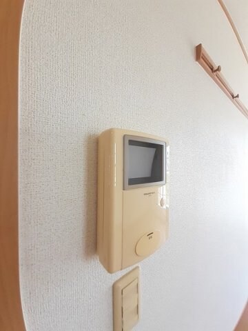  こむぎはいつ　Ｂ