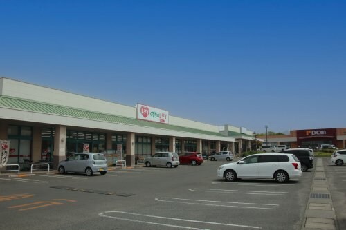 くすりのレデイ 丸亀店(ドラッグストア)まで1783m グラン　テレーノ　Ｃ