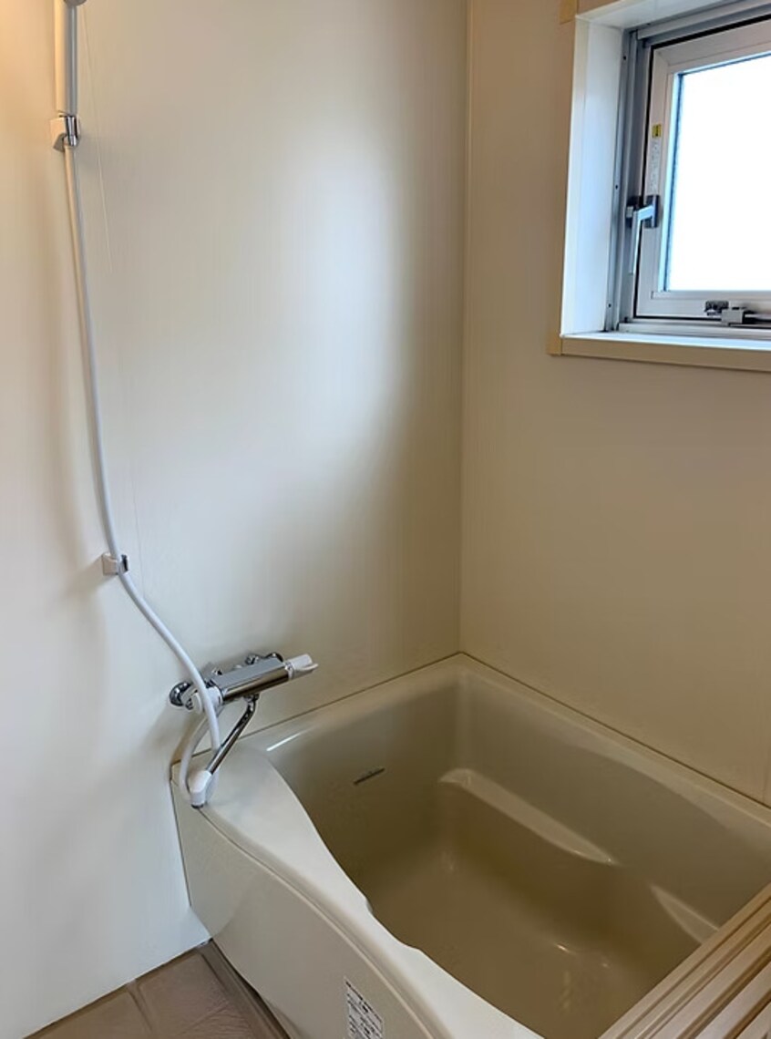  コリドールエスエフ