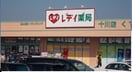 レディ薬局十川店さんまで1100m 南オレンジタウンⅡ