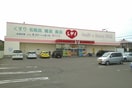 レディ薬局春日店まで420m ルーベル春日Ｄ