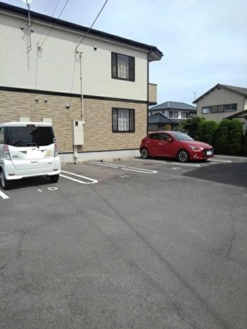  サンフラワー　Ｂ