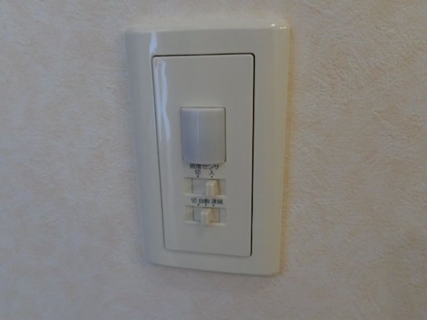 人感センサー フランドール・Ｍ