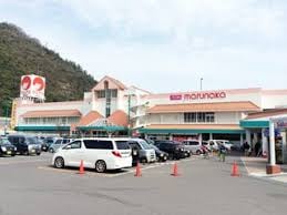 マルナカ 栗林南店(スーパー)まで746m パークサウス