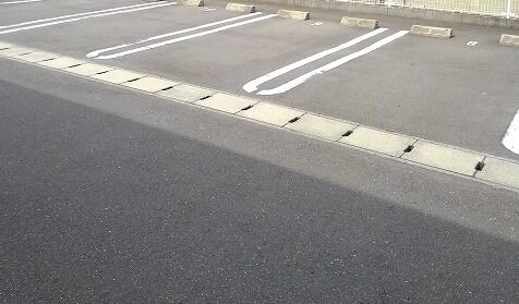  サニーカンパーニュ