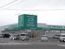 ザグザグ丸亀三条店まで750m サニーカンパーニュ