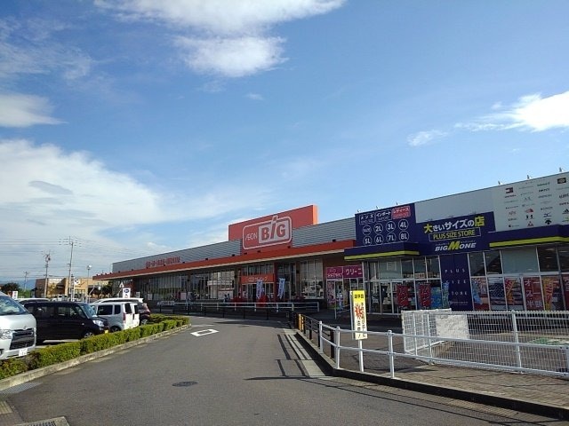 ザ・ビッグ丸亀城南店まで700m タートル・マウンテンⅡ