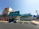 ザグザグ善通寺店まで1900m ハイ・フィールド
