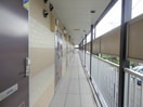 ２Ｆ共用廊下 レオパレスステラ三條