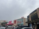 XYZ丸亀モール(ショッピングセンター/アウトレットモール)まで1446m レガシーガーデンⅡ