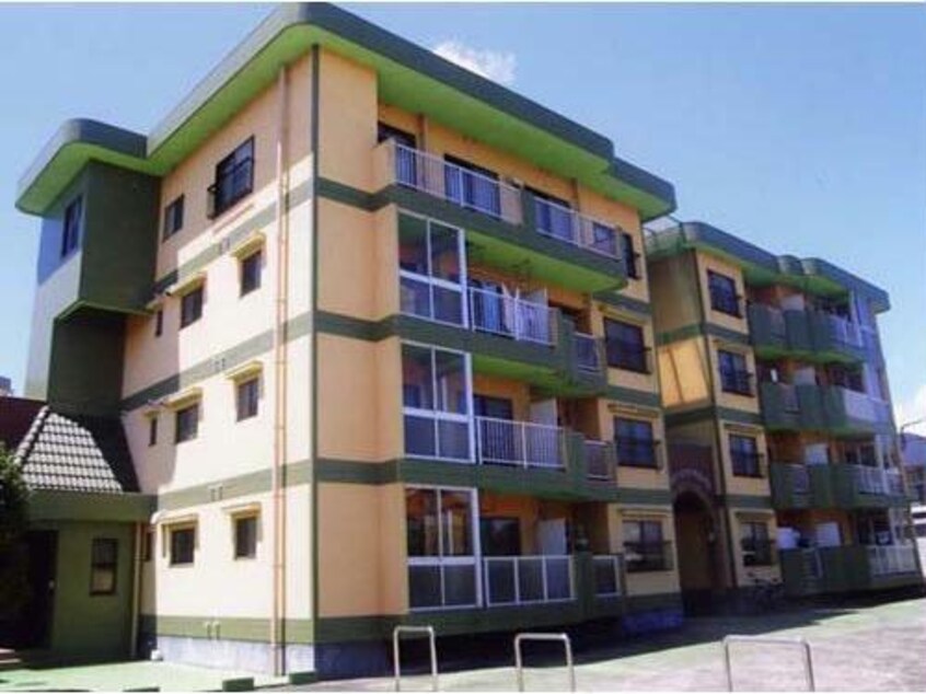  グリーンシールズオコ