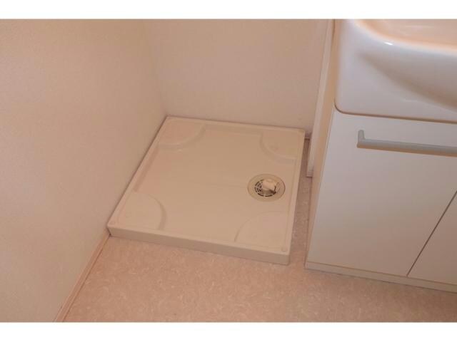  サンフラワー寿