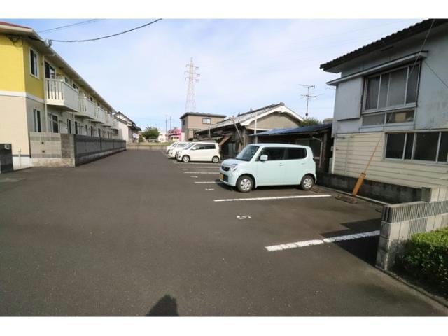  サンフラワー寿