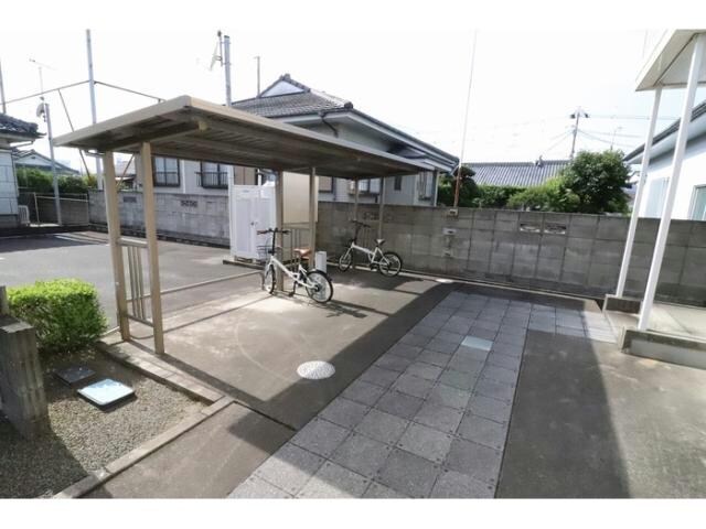  サンフラワー寿