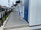  ローズマリー