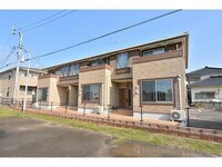 サンフラワー白崎