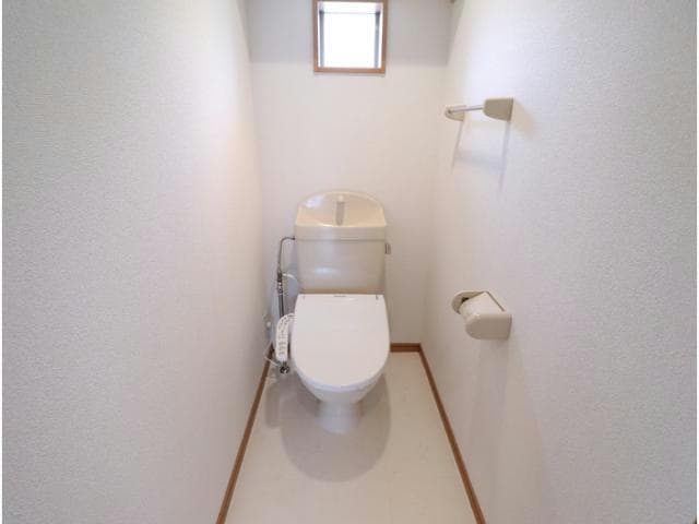  パラッツオ札元