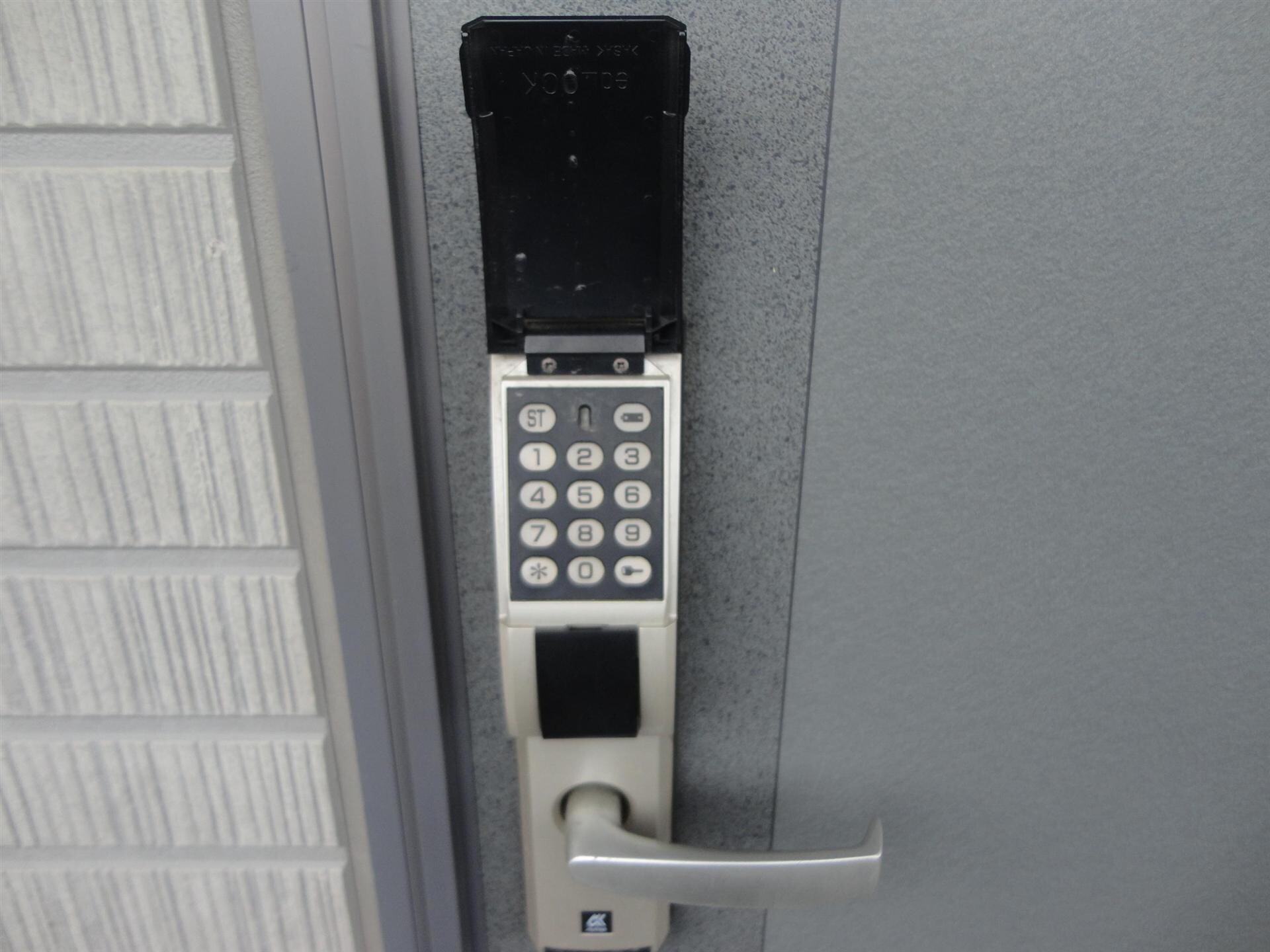  ベリィー・ブラッサム